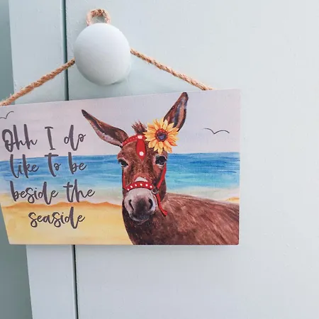 43 Springvale * 휫비